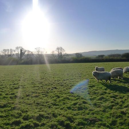Tuell Farm Cottages Tavistock  Extérieur photo
