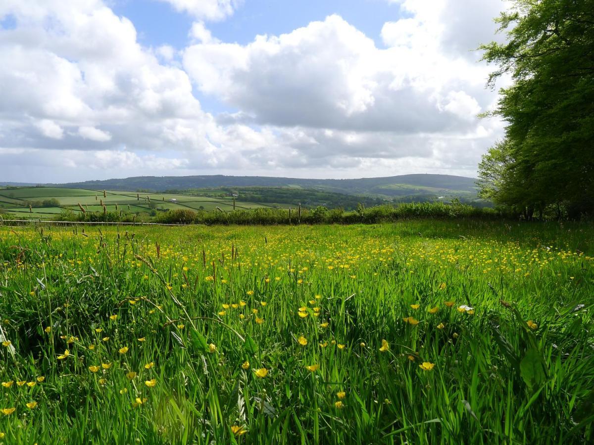 Tuell Farm Cottages Tavistock  Extérieur photo