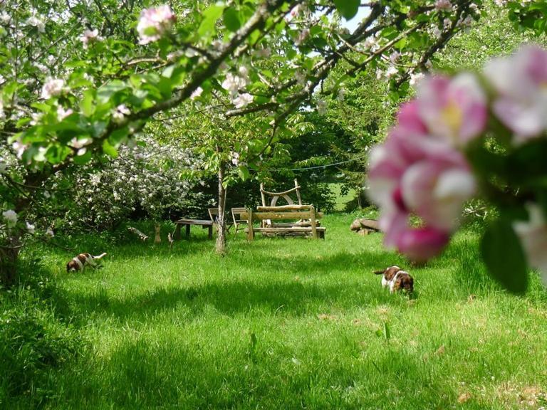Tuell Farm Cottages Tavistock  Extérieur photo