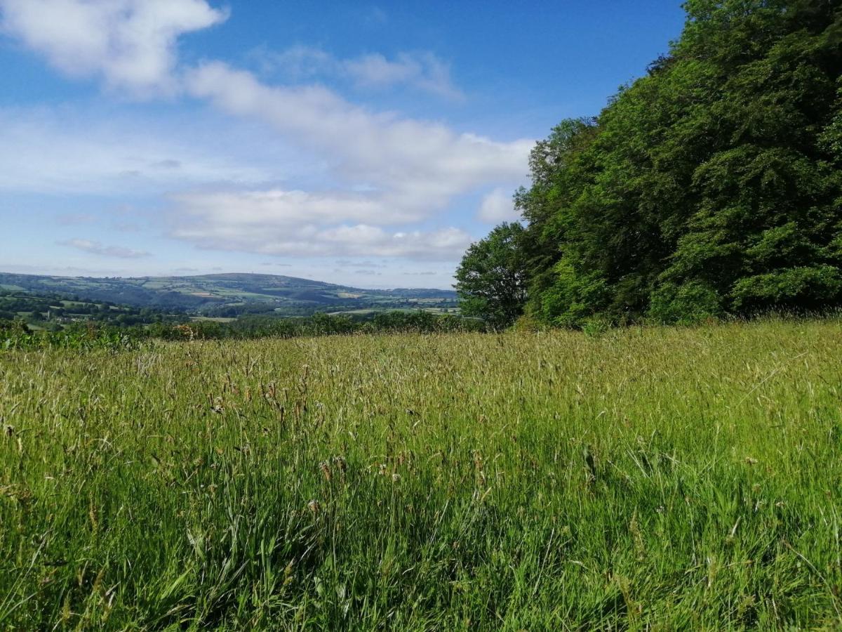 Tuell Farm Cottages Tavistock  Extérieur photo